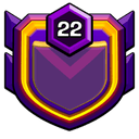 TEAM SOLID 2 badge