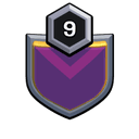 TEAM SOLID MAX badge