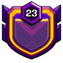 TEAM SOLID 2 badge